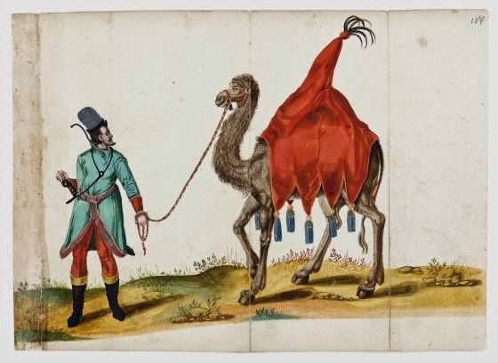 Ein Kamel mit verhülltem Höcker an einer Leine geführt - Hs 1971 Band 5 Blatt 107