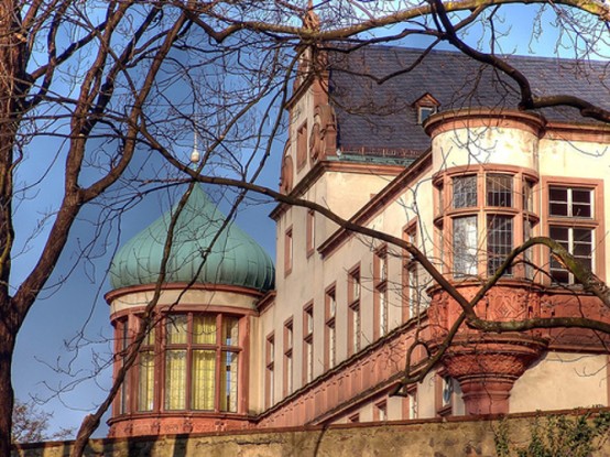 Schloss Darmstadt, Teilansicht